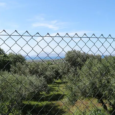 Haus In Privatgrundstueck Bei